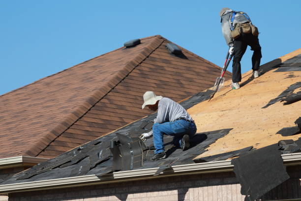 Best Asphalt Shingles Roofing  in Ocilla, GA